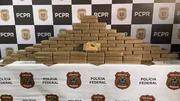 Divulgação/PF