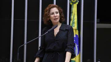 Reprodução // Michel Jesus // Câmara dos Deputados