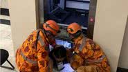 Bombeiros/ Divulgação