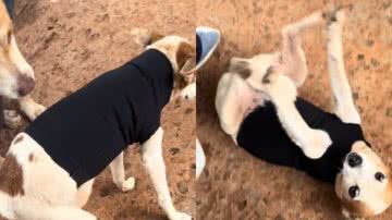 Reprodução// TikTok @paullosergio4