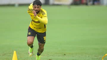 Marcelo Cortes / Flamengo