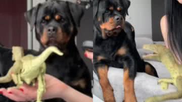 Reprodução / Redes sociais