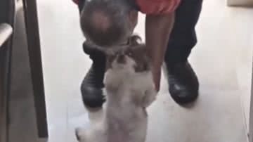 Reprodução / TikTok
