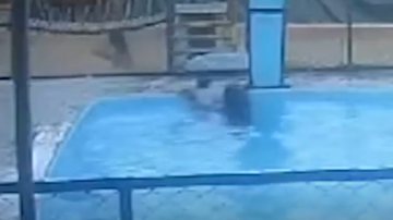 Reprodução/Vídeo