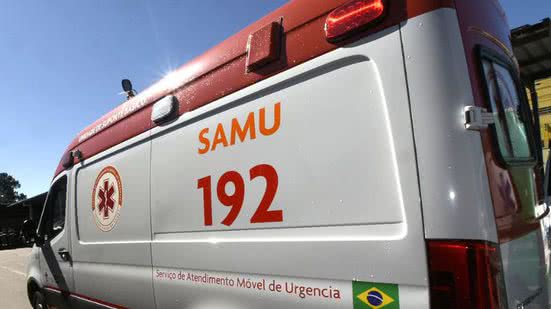 Divulgação