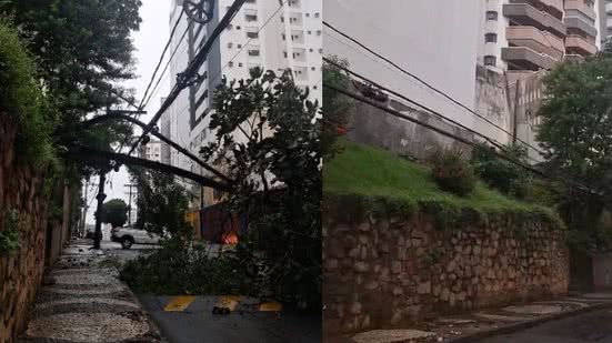 BNews