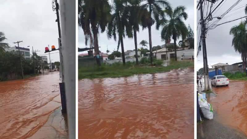 Reprodução