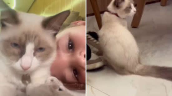 Reprodução / Redes sociais