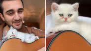 Reprodução / Redes sociais