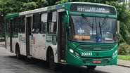 Alexandre Carvalho/Ônibus Brasil