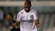 Divulgação/Santos FC