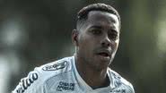Ivan Storti/Santos FC