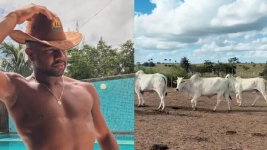 Reprodução Redes sociais