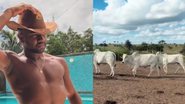 Reprodução Redes sociais