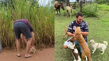 Reprodução/ Tik Tok @casalfigueroaa