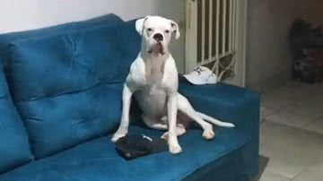 Reprodução/TikTok @yarayana5
