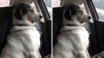 Reprodução/TikTok