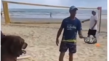 Reprodução Vídeo