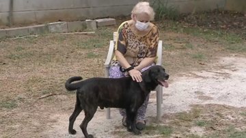 Reprodução/NSC TV