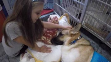 Cães Online/Reprodução