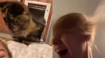 Reprodução/TikTok