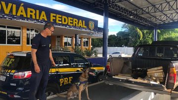Foto: PRF/Divulgação
