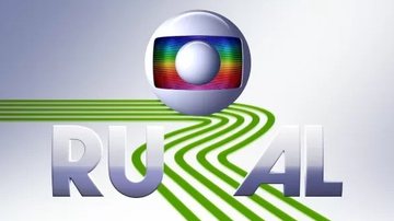 Reprodução / Rede Globo