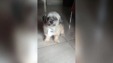 Arquivo pessoal