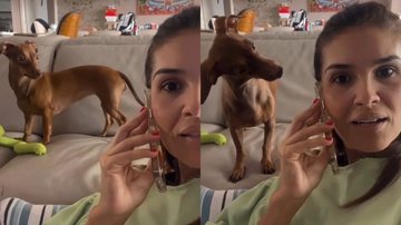 Reprodução/TikTok @diegomurillovet