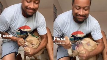 Reprodução// TikTok @pitbulldraxx