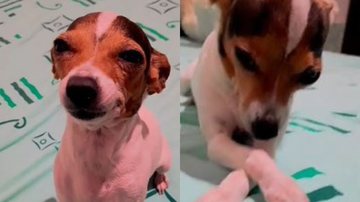 Reprodução/TikTok @luanasancheez1