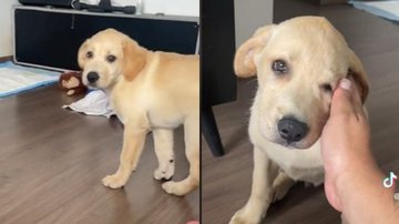 Reprodução// TikTok @fbomfim2