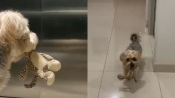 Reprodução// TikTok @larissaavasquees