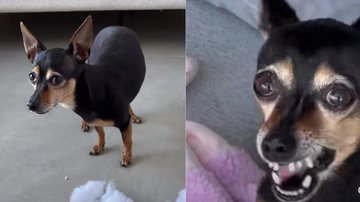 Reprodução / Instagram