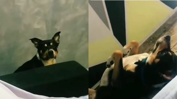 Reprodução / Instagram