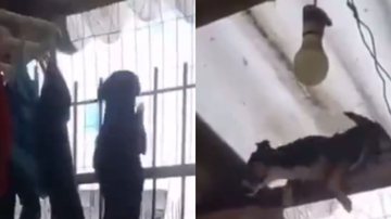 Reprodução / Tik Tok