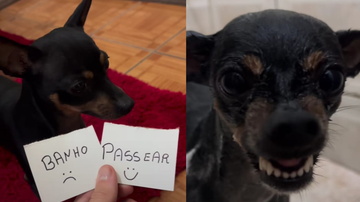 Reprodução / Instagram