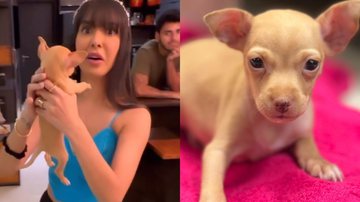 Reprodução/TikTok @eu_peoliveira