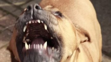 Imagem ilustrativa / Istock