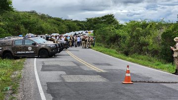 Divulgação
