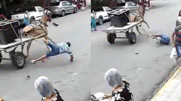 Reprodução