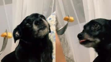 Reprodução// TikTok @eryka_barbosa