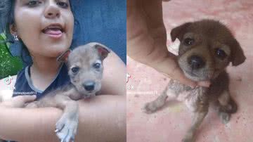 Reprodução/TikTok @camilo.el.nio.de