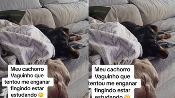 Reprodução/ Redes sociais