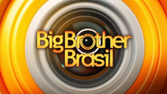 Reprodução/TV Globo