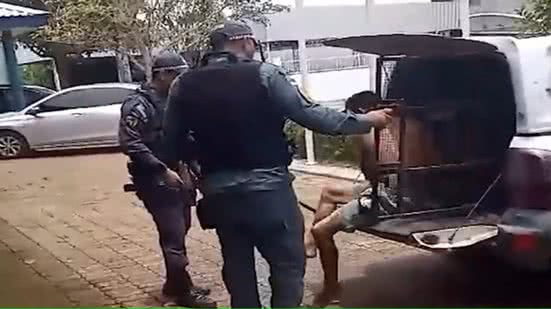 Reprodução