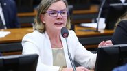 Vinícius Loures / Câmara dos Deputados