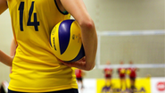 STJD decide por unanimidade sobre Tifanny Abreu no vôlei - Reprodução/Foto: Pixabay