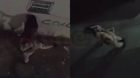 Reprodução/Redes Sociais