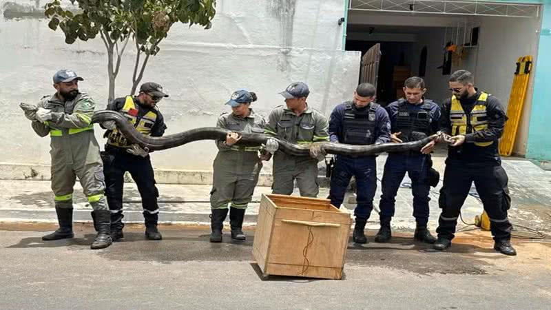 Divulgação/Anjos do Cumbe